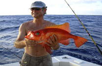 Big Game fishing - exotische Fischart