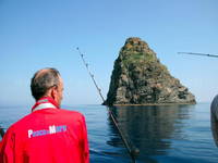 Big Game Fishing Insel Vis