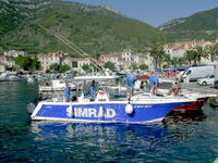 Big Game Halbtagesfahrt ab Rogoznica 