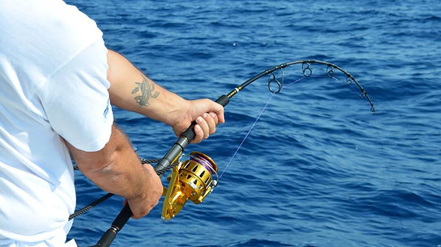 best big game fishing rods