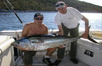 Big Game Fishing auf Thunfisch