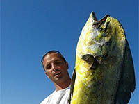 Mahi Mahi in Kroatien