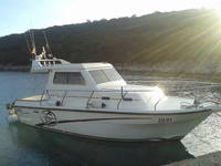 Big Game Boot Damor 900