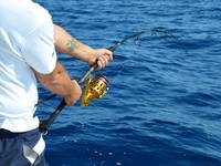 Split Adria - Big Game Fishing
