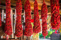 Spitzpaprika, Kroatien