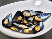 Miesmuscheln, Kroatien