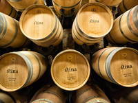 Weinfässer Slawonien