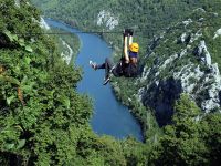 Zipline Omis