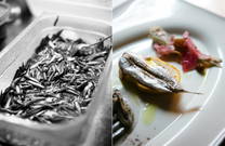 Konoba Batelina - Zero Fische