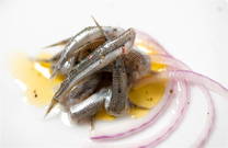 Konoba Batelina - Zeros mit Öl