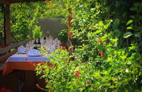 Konoba Stari Podrum, Momjan, Istrien, Kroatien