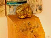 Millenium, der Weltrekord-Trüffel