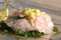 Restaurant San Rocco - Menü