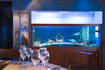 Aquarium im Restaurant Laurus
