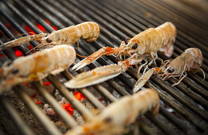 Meeresfrüchte Restaurant Laurus