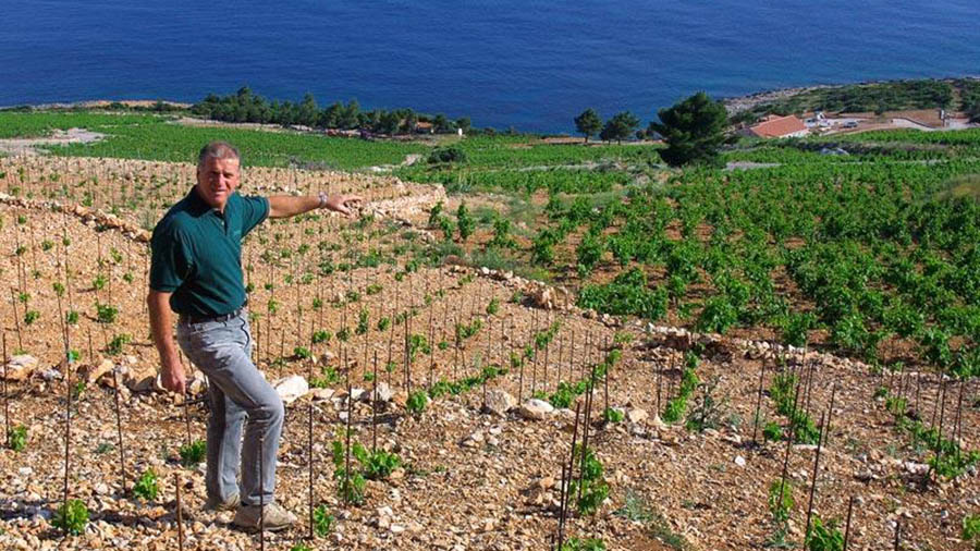 Weingut Skaramuca - Peljesac - Ivo Skaramuca