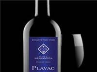 Weingut Skaramuca - Plavac Mali Dingac