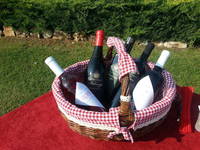 Weingut Franc Arman - Vizinada, Istrien, Kroatien