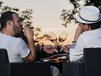 Weingut Trapan - Sisan, Medulin, Istrien, Kroatien