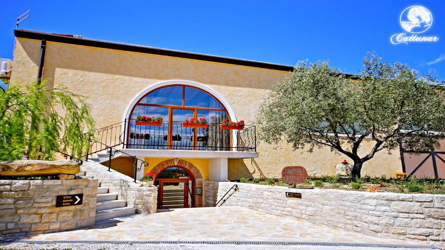 Weingut Cattunar in Nova Vas bei Brtonigla