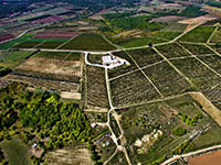 Vina Cattunar - Cetiri Zemlje