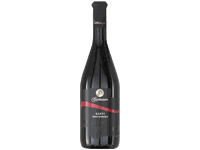 Vina Cattunar - Kappi Teran Barique