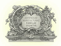 Vina Veralda - Brtonigla