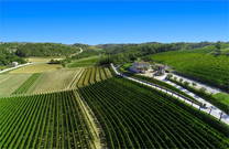 Weingut Kabola & Weingärten