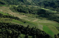 Weingarten Matosevic - Luftaufnahme