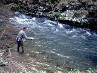 Fliegenfischer am Curak