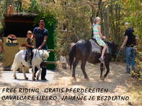 Streichelzoo im Dinopark Funtana