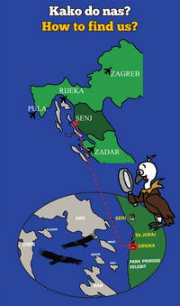 Kontakt Raubvogelschutzzentrum Grifon