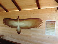 Raubvogelausstellung im alten Forsthaus von Grifon.hr