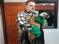 Spenden an Grifon.hr