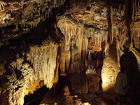 Grotte Baredine