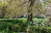 Altes Steinhaus - Garten