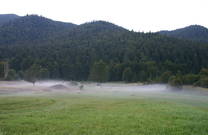 Nebel im Nationalpark Risnjak