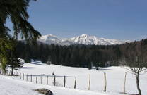 Winter im Nationalpark Risnjak