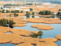 Naturpark Kopacki Rit