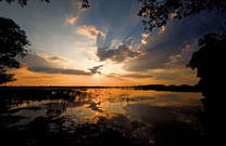 Abendstunde im Naturpark Kopacki Rit