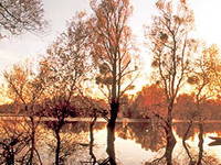 Naturpark Lonjsko polje