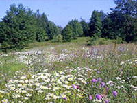 Naturpark Medvednica