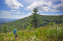 Mountainbiketour, Naturpark Medvednica
