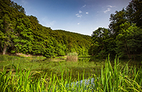 Waldpark Jankovac, Naturpark Papuk
