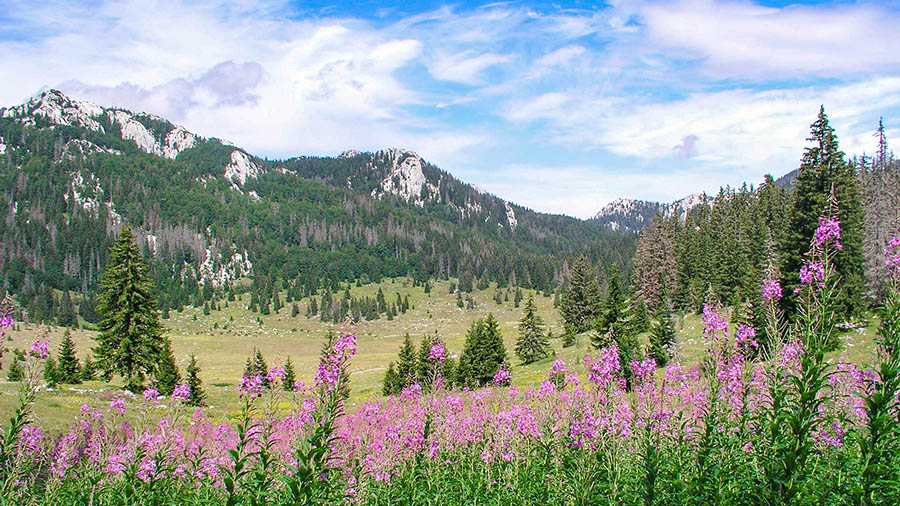 Nationalpark Nord Velebit