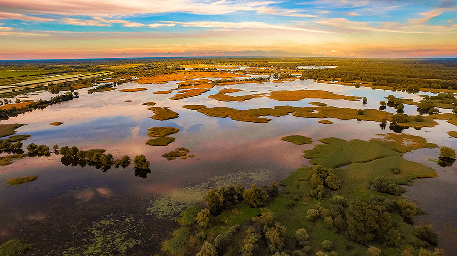 Naturpark Kopacki rit, Kroatien