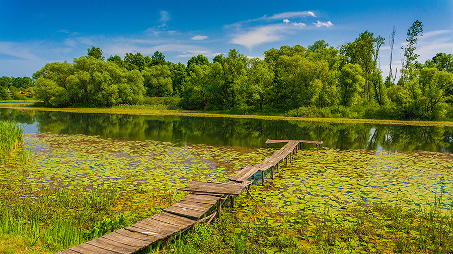Naturpark Lonjsko polje