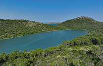 Salzsee Mir, Telascica