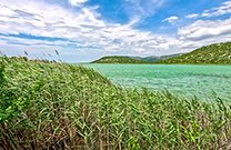 Panorama Seeblick