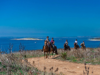 Reitausflug Kap Kamenjak